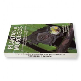 plantas-e-morcegos-2-460x460